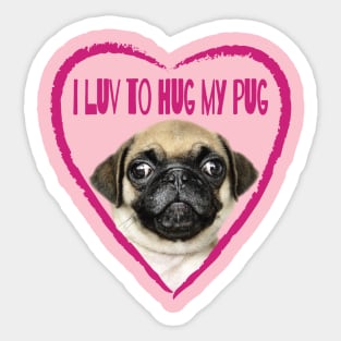 I Luv To Hug My Pug Dog Picture Sticker